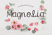 Magnolia Font, a Script Font by Eldamar Studio (Thumbnail 1 of 8)