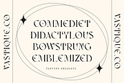 Vastyque - Modern Ligatures Serif, a Serif Font by Vesvocrea (Thumbnail 4 of 12)