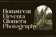 Zalerin || Modern Serif Typeface, a Serif Font by Idea Studio (Thumbnail 10 of 12)