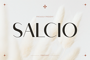 Salcio, a Sans Serif Font by Pinisi ART (Thumbnail 1 of 10)