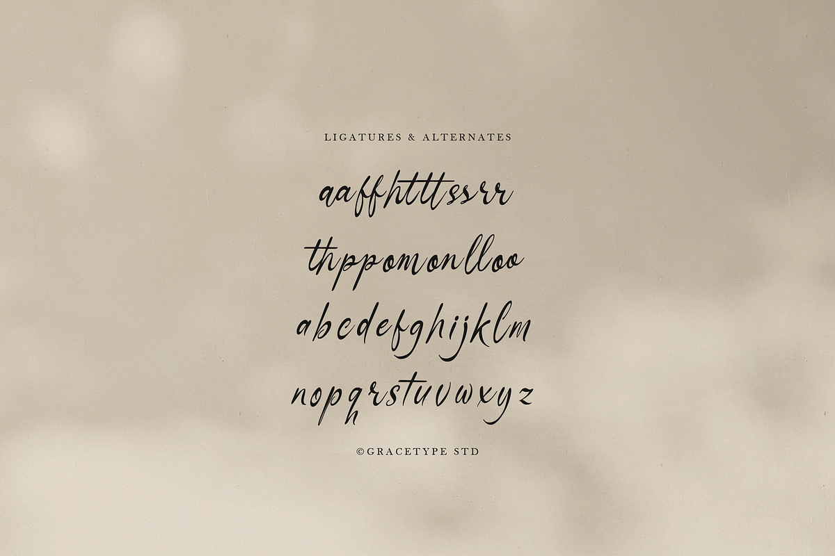 Danthalion Elegant Signature Script, a Script Font by gracetype_studio (Photo 12 of 12)