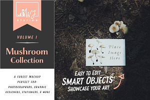 Mushroom Mockup 6 - Vol. 1