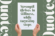 Bistika Modern Display Serif, a Serif Font by timelesstype.co (Thumbnail 14 of 20)