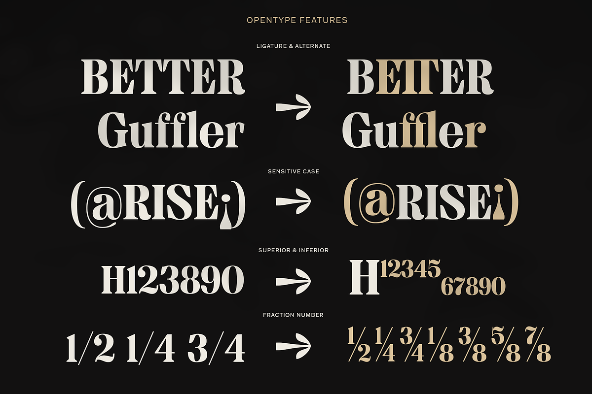 MTC Granfise - A Unique Serif, a Serif Font by Martype (Photo 11 of 12)