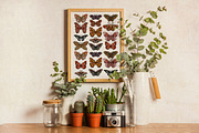 Whimsical Butterflies Boho Aesthetic, an Animal Illustration by Ink Stories (Thumbnail 4 of 15)