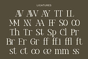 Prista an elegant serif font, a Sans Serif Font by Honestype (Thumbnail 10 of 10)
