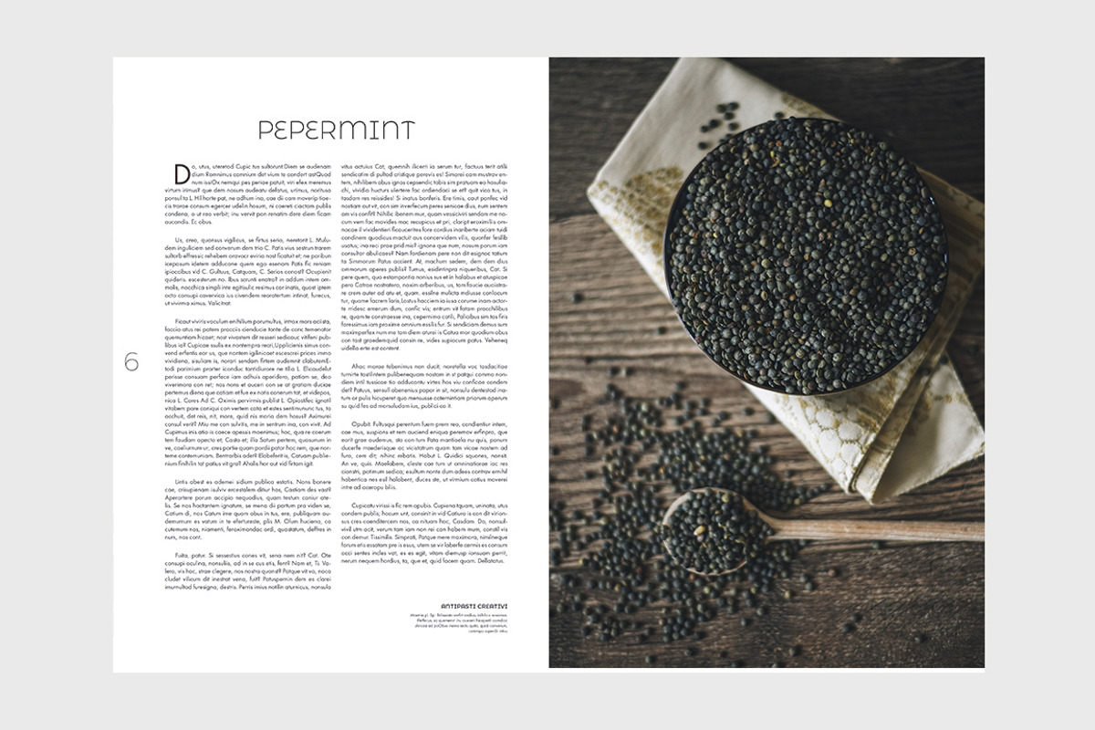 Pastrami Magazine Template, a Magazine Template by N A N D U Z D E S I G N (Photo 4 of 15)