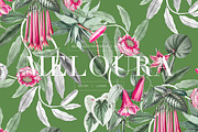 Meloura Luxury Patterns And Elements, a Pattern Graphic by LEAFure (Thumbnail 1 of 9)
