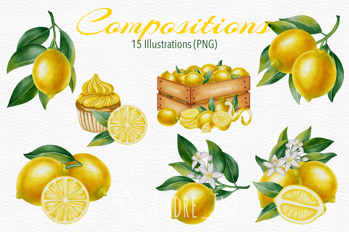 Lemon — Watercolor Illustration Set, a Food Illustration by Andre_Eva (Photo 4 of 12)