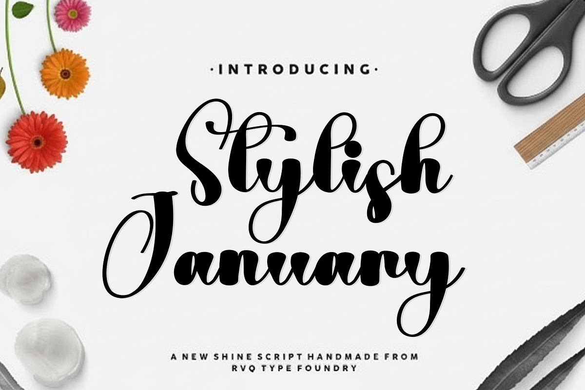 Stylish January, a Handwritten Font by InermediaSTUDIO (Photo 1 of 8)