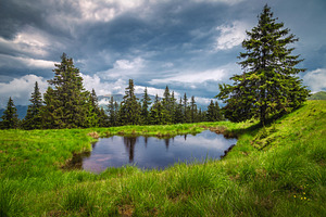Small lake on the green forest glade, a Nature Photo by Alpine Dreams