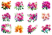 Bougainvillea Flowers Clipart Bundle, an Illustration by Dream Creation (Thumbnail 4 of 5)