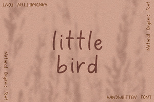 Little Bird Handwritten Font, a Sans Serif Font by The Creative Bix