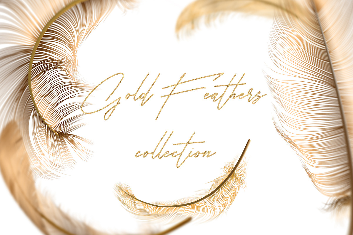 Gold Feathers collection (eps + png), an Object Graphic by Gluiki (Photo 1 of 2)