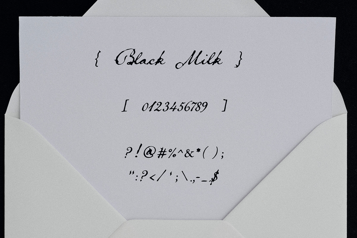 Black Milk: Decorative Ink Script, a Script Font by Mneme (Photo 8 of 11)