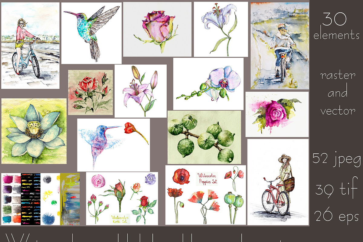 Bundle offer of watercolors, an Animal Illustration by Watercolor_Vector Graphic (Photo 1 of 27)