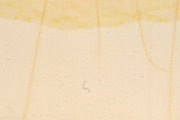 Expired instant film texture pack, a Texture Graphic by The Shop (Thumbnail 13 of 15)