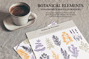 Herbs of Provence Collages & Vectors, a Healthcare Illustration by Yevheniia (Thumbnail 6 of 12)