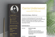 Modern Resume Template with Photo, a Resume Template by LevelUpResume (Thumbnail 1 of 5)