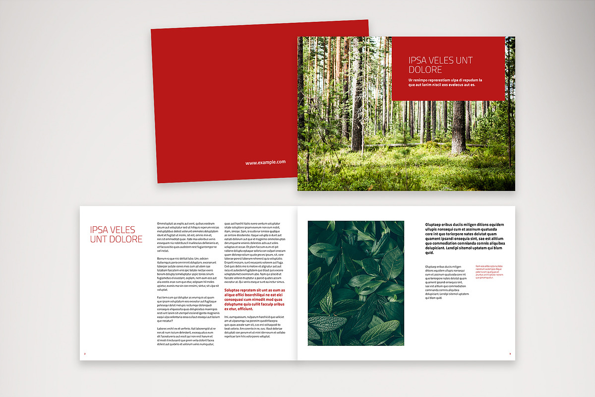 Landscape Business Report Design, a Brochure Template by McLittle Stock (Photo 2 of 7)