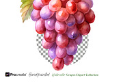 Watercolor Grapes Clipart, an Object Illustration by crafty (Thumbnail 3 of 11)