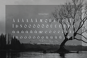 Drogel | Display Serif Font, a Serif Font by gracetype_studio (Thumbnail 12 of 12)