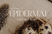 Swily Bright | Classy Font, a Serif Font by Jolicia Type (Thumbnail 8 of 11)