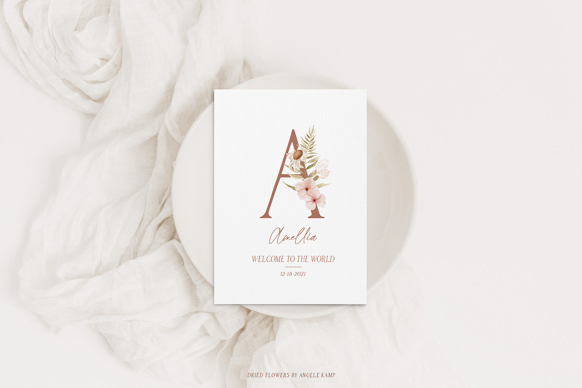 Dried flowers watercolor graphics, an Illustration by Angele Kamp (Photo 3 of 10)