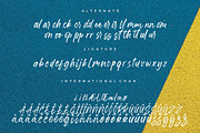Misrelly Signature Brush, a Script Font by Creatype Studio (Thumbnail 9 of 9)