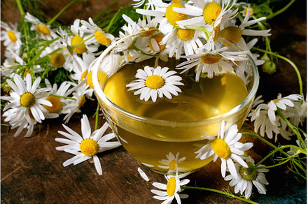 Fresh Chamomile Tea with White