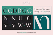 TBJ Milky – 8 Styles Boldly Sans, a Sans Serif Font by Taboja Studio (Thumbnail 5 of 18)