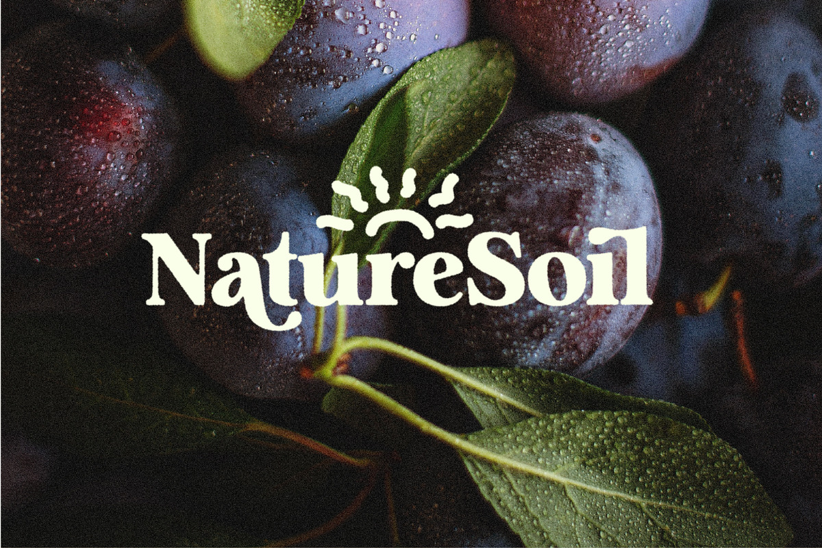Analogue - Humanist Retro Serif, a Serif Font by Harmonais Visual (Photo 14 of 29)