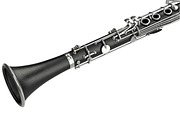 Clarinet musical instrument, set, an Object Graphic by ARTYuSTUDIO (Thumbnail 6 of 10)