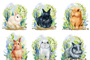 Fluffy bunnies. Watercolor painting, an Animal Illustration by Hanna Hryharenka (Thumbnail 14 of 17)