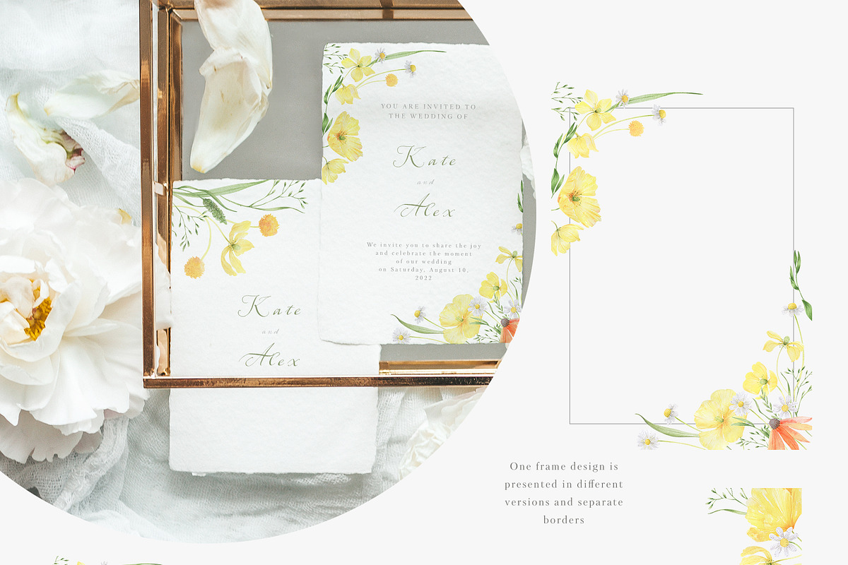 Wildflowers, poppies and herbs, a Food Illustration by astelenadesign (Photo 10 of 19)
