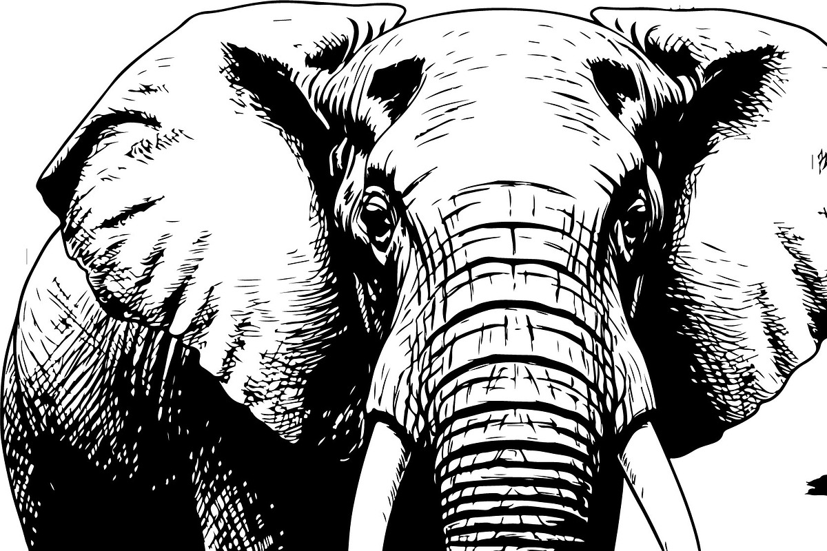 Wild Elephant Silhouette Set, an Illustration by jahid234 (Photo 12 of 21)