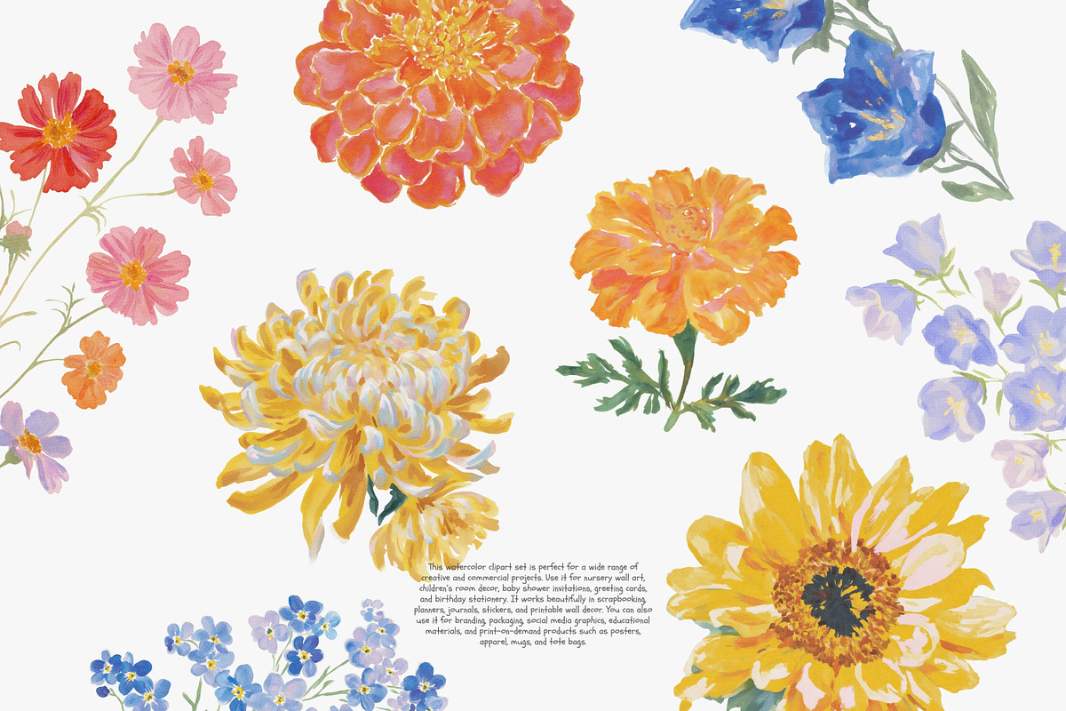 watercolor floral clipart bundle, a Decorative Illustration by Patishop Art (Photo 6 of 9)