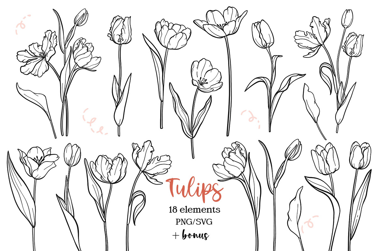 Tulip Line Art, Botanical SVG & PNG, an Object Graphic by ArtGiftsStudio (Photo 1 of 6)