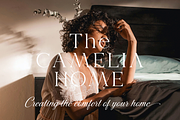 Valdo Font Family, a Serif Font by Larin Type Co. (Thumbnail 4 of 15)