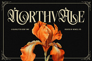 Northvale Blackletter Serif Font, a Blackletter Font by Heinzel Std (Thumbnail 1 of 10)
