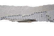 40 Ripped Torn Cardboard Edges (PNG), a Texture Graphic by Bilgep_design (Thumbnail 7 of 16)