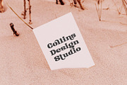 Collonie, a Serif Font by yumnatype (Thumbnail 6 of 10)