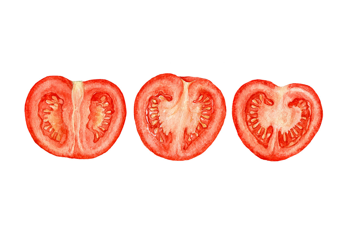 Watercolor fruit&vegetable slices, a Food Illustration by Katya Zlobina (Photo 11 of 14)
