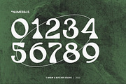 Bombus | Psychedelic Typeface, a Serif Font by Brew & Butcher Studio (Thumbnail 4 of 12)