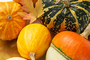 Assorted pumpkins and gourds decorating for fall harvest, a Holiday Photo by Olena Rudo