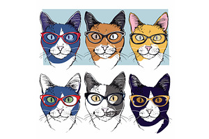 Six Stylish Cats Wearing Colorful