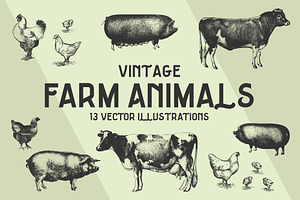 FARM ANIMALS | 13 Vectors