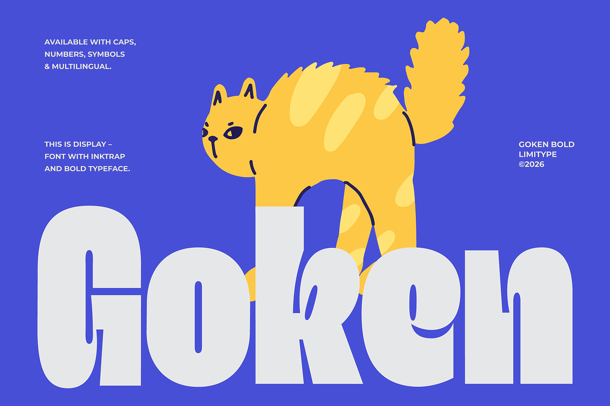 Goken - Bold Font, a Sans Serif Font by limitype (Photo 1 of 10)