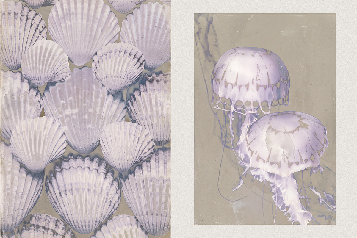 Ethereal Nature Archive Backgrounds, a Background Graphic by Natali Batu (Photo 3 of 9)