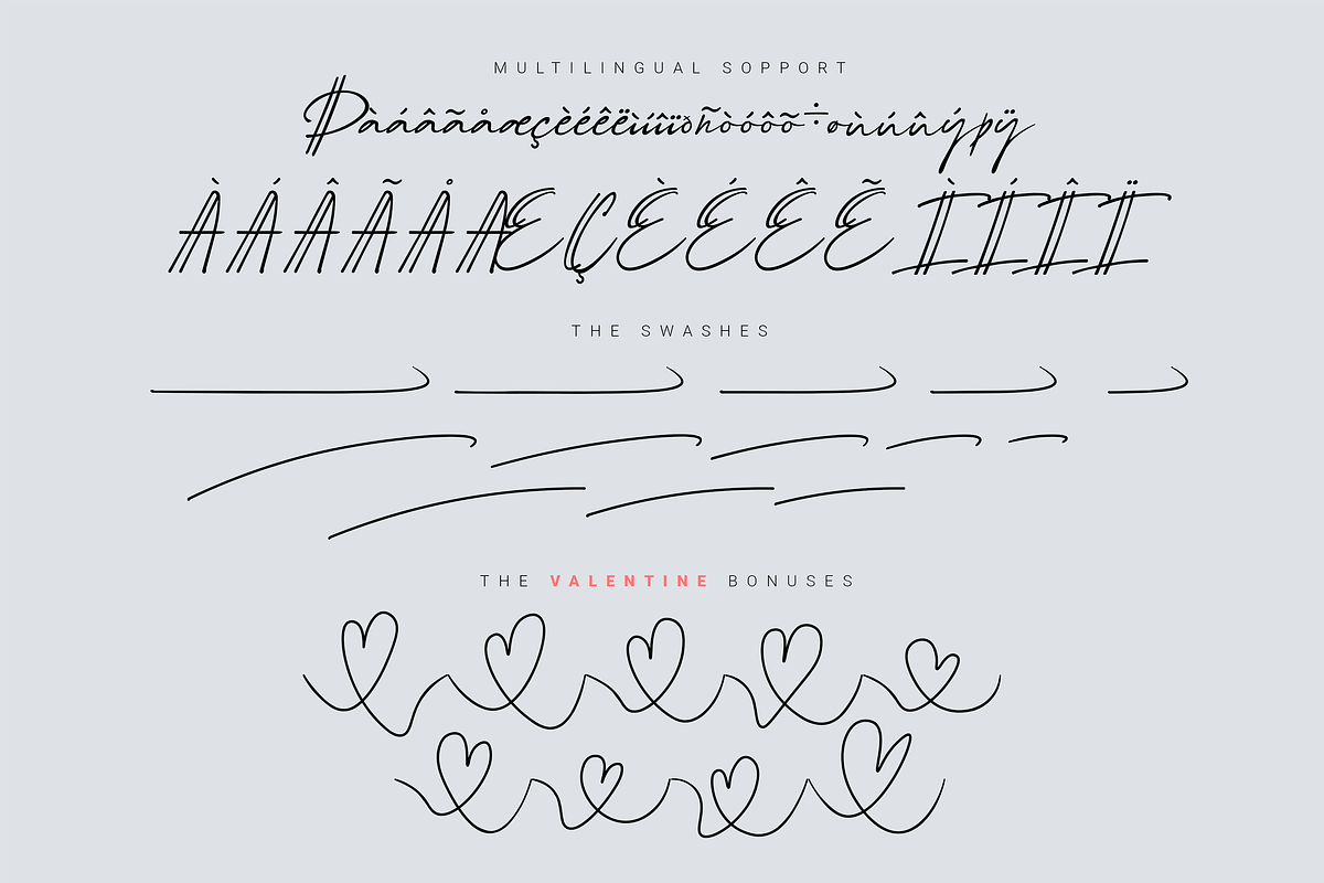 Schrödinger's | Signature Font, a Script Font by Ardana Creative (Photo 12 of 12)